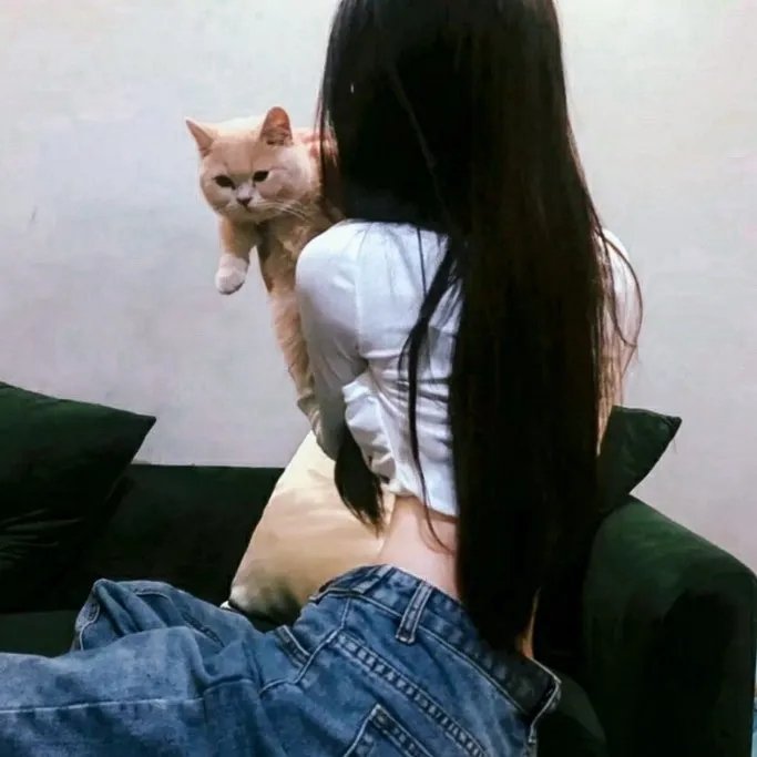 花游记